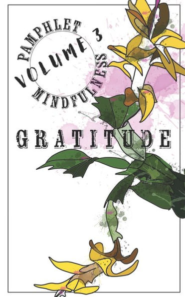 Pamphlet Mindfulness: Gratitude - 9781960805065