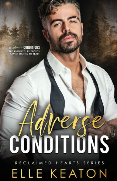 Adverse Conditions: Small Town Silver Fox Gay Romance (Reclaimed Hearts) - 9781960912008