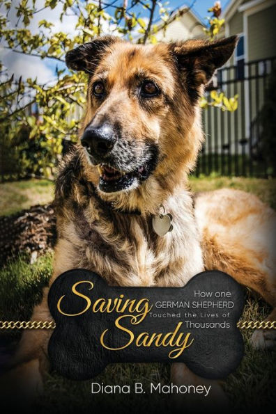 Saving Sandy - 9781961186033
