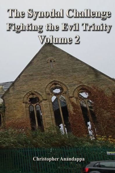 The Synodal Challenge Fighting The Evil Trinity: Volume 2 - 9781961186774