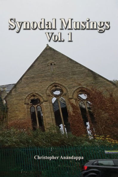 Synodal Musings: Volume 1 - 9781961486256