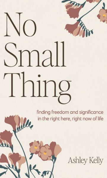 No Small Thing: Finding Freedom And Significance In The Right Here, Right Now Of Life - 9781961732018