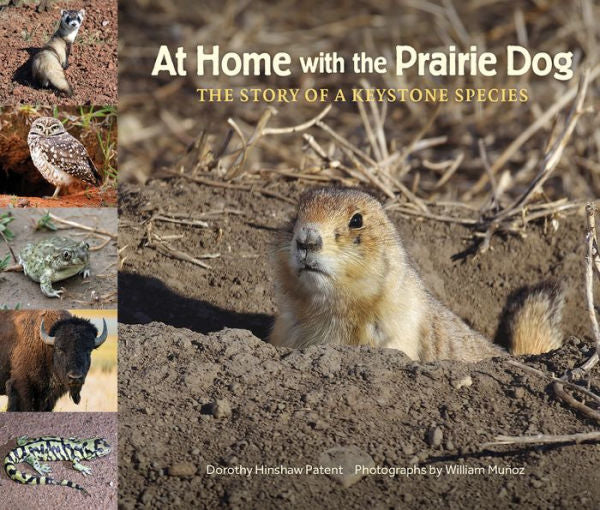 At Home With The Prairie Dog: The Story Of A Keystone Species (The Story Of A Keystone Species, 3) - 9781970039061