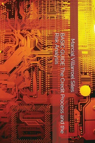 BASIC GUIDE The Credit Process and the Risk Analysis (Analysis of Credit Risk)