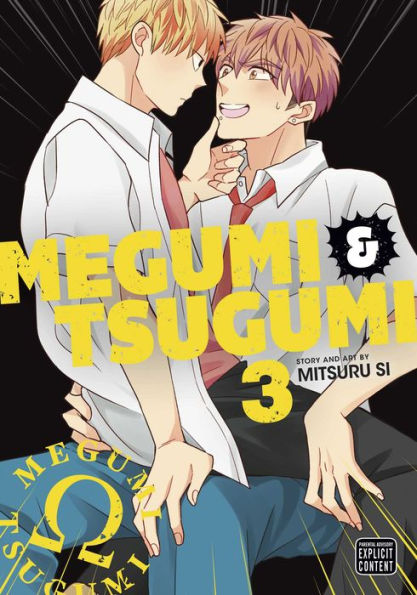 Megumi & Tsugumi, Vol. 3 (3) - 9781974738892
