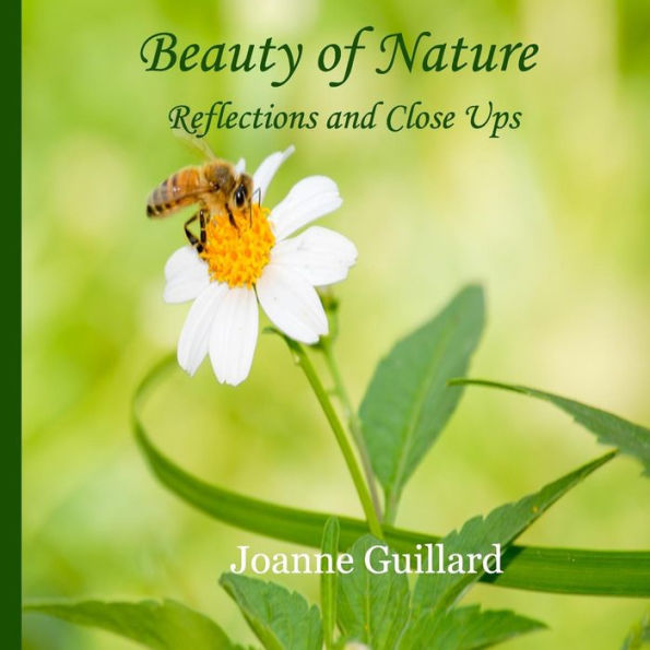 Belleza de la naturaleza: reflexiones y primeros planos