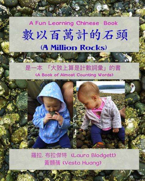 Un millón de rocas (en chino): un libro que casi cuenta palabras (divertido aprendizaje de chino)