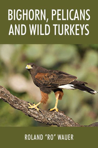 Bighorn, Pelicans and Wild Turkeys