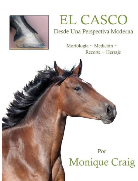 EL CASCO...Desde Una Perspectiva Moderna (Spanish Edition)