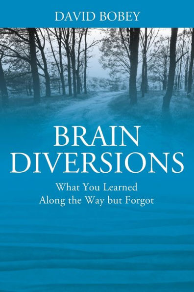 Brain Diversions: What You Learned Along The Way But Forgot