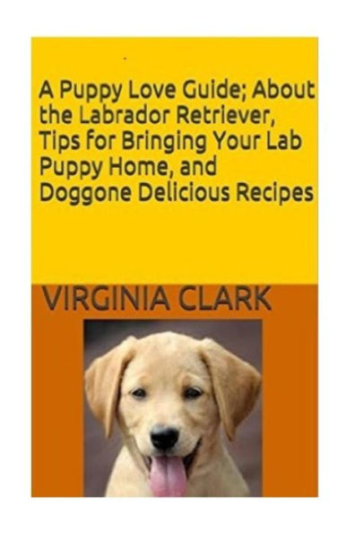 Una guía para el amor de los cachorros: sobre el labrador retriever, consejos para traer a su cachorro de laboratorio
