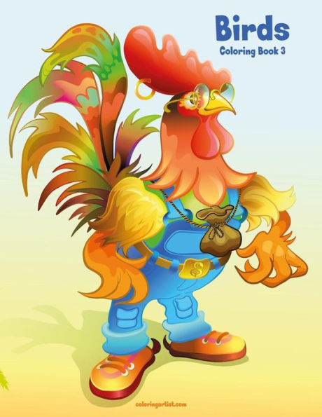 Birds Coloring Book 3