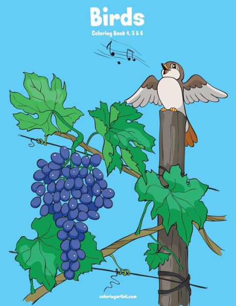 Birds Coloring Book 4, 5 & 6