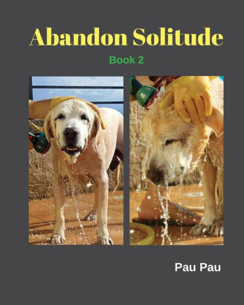 Abandon Solitude Book 2: Abandon Solitude Love