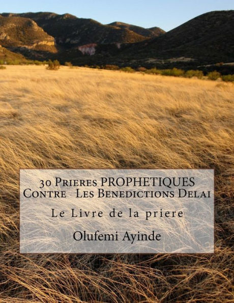 30 Prieres PROPHETIQUES Contre Les Benedictions Delai: Le Livre de la priere (French Edition)
