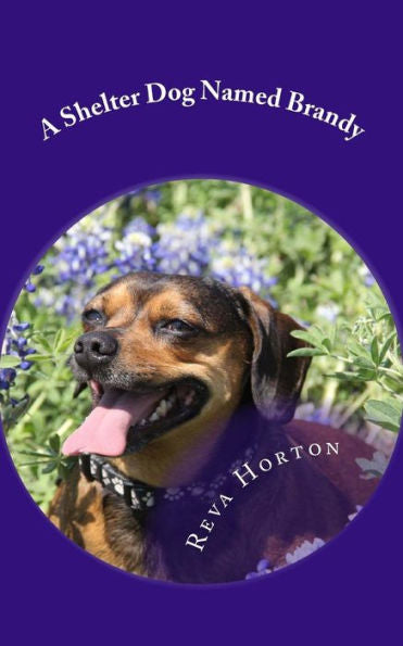 A Shelter Dog Named Brandy