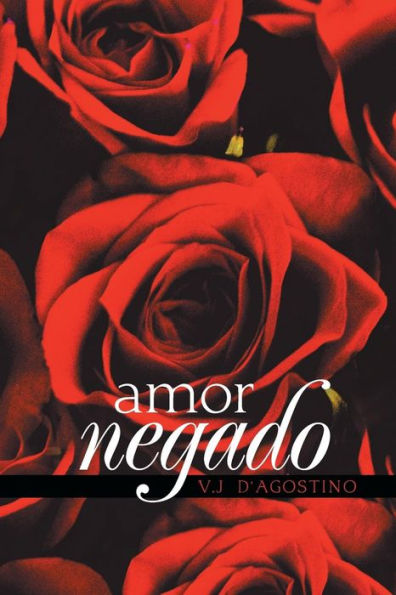 Amor negado (Spanish Edition)