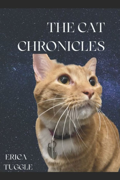 The Cat Chronicles - 9781984945785