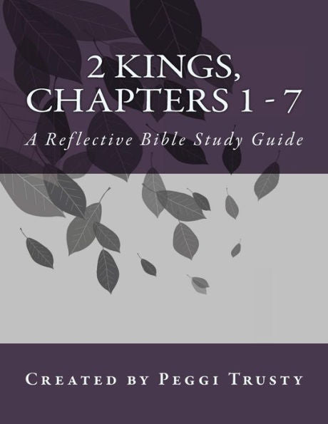 2 Kings, Chapters 1 - 7: A Reflective Bible Study Guide