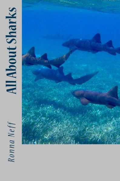 All About Sharks