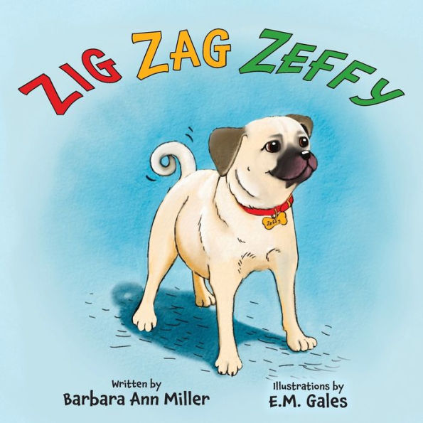 Zig Zag Zeffy - 9781989833346