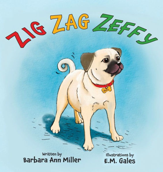 Zig Zag Zeffy - 9781989833377
