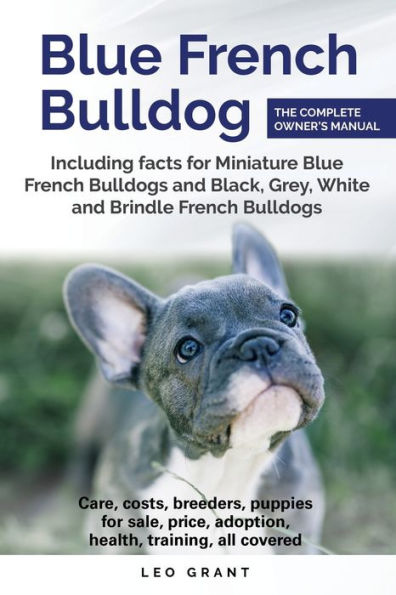 Bulldog Francés Azul: Cuidados, costos, precio, adopción, salud, adiestramiento y cómo encontrar criadores y cachorros para la venta.