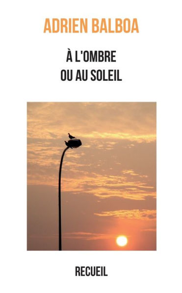 À L'Ombre Ou Au Soleil: Recueil (French Edition)