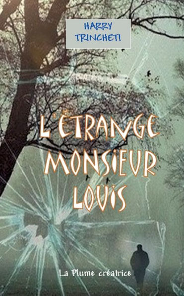L'etrange Monsieur Louis (French Edition)