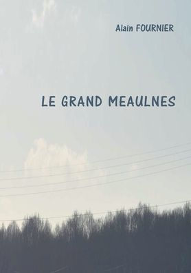 Le Grand Meaulnes (French Edition) - 9782322084395