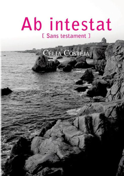 Ab Intestat: Sans Testament (French Edition)