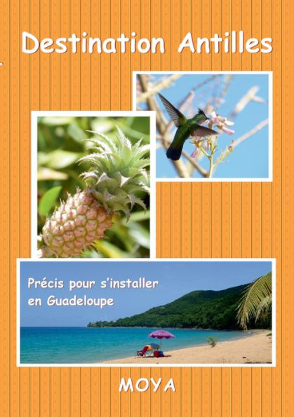 Destination Antilles: Precis Pour S'Installer En Guadeloupe (French Edition)