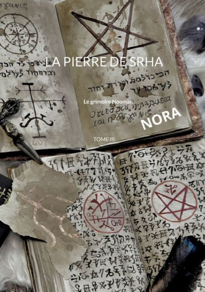 La Pierre De Srha: Tome Iii (French Edition)