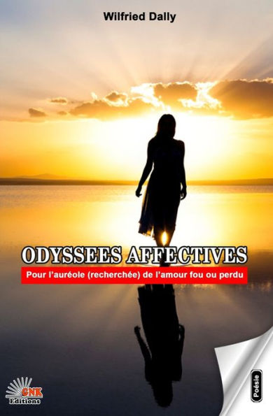 Odysse'Es Affectives (French Edition) - 9782378064631