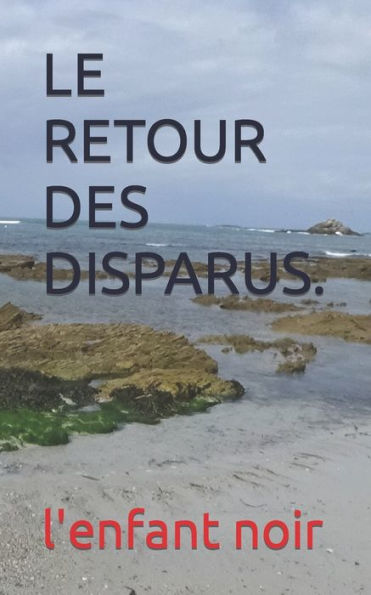 Le Retour Des Disparus. (Le Retours Des Disparus De La Presqu'Ils De Quiberon) (French Edition) - 9782494451810