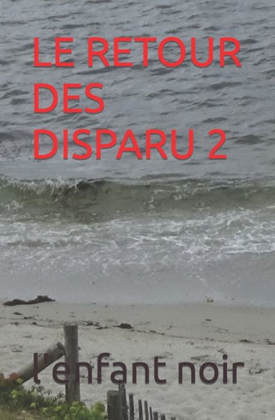 Le Retour Des Disparu 2 (Le Retours Des Disparus De La Presqu'Ils De Quiberon) (French Edition) - 9782494451827