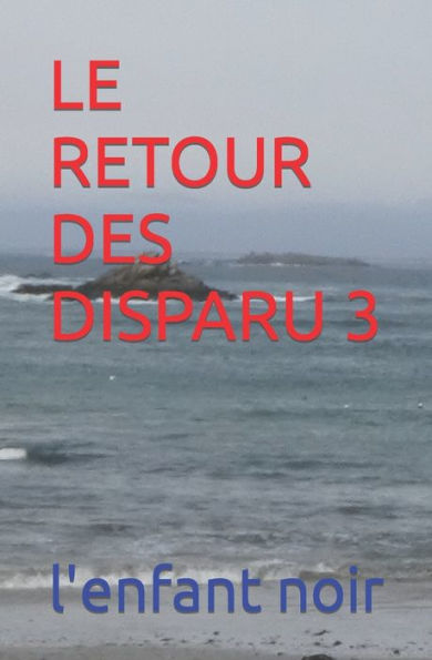 Le Retour Des Disparu 3 (Le Retours Des Disparus De La Presqu'Ils De Quiberon) (French Edition) - 9782494451834