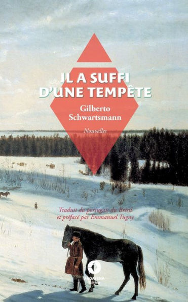 Il A Suffi D'Une Tempête (French Edition)