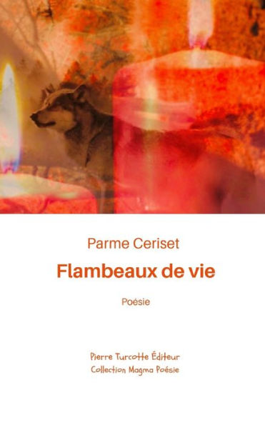 Flambeaux De Vie (French Edition) - 9782925219675