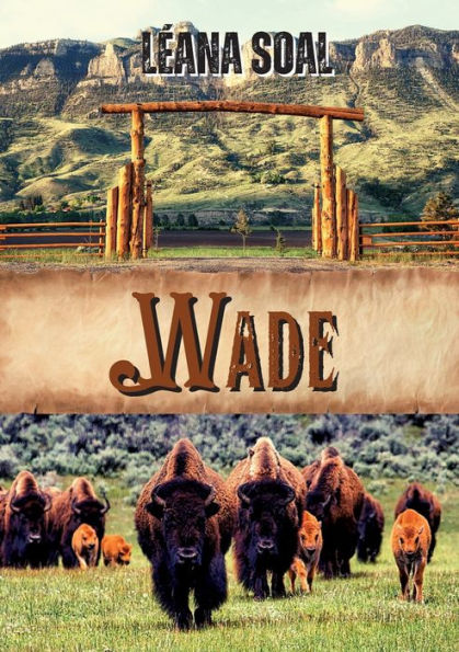 Wade (French Edition) - 9782958093037