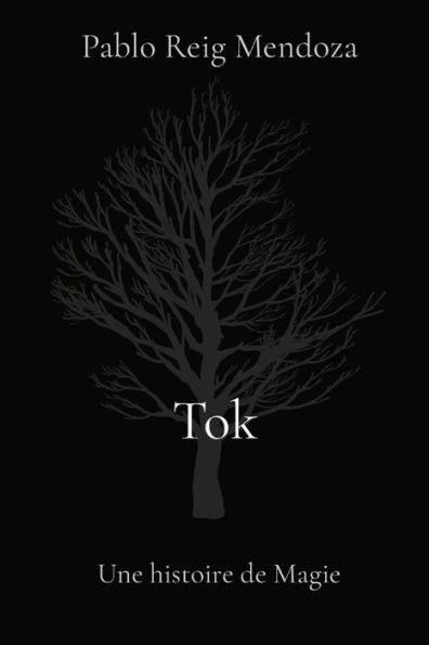 Tok: Une Histoire De Magie (French Edition) - 9782958711405