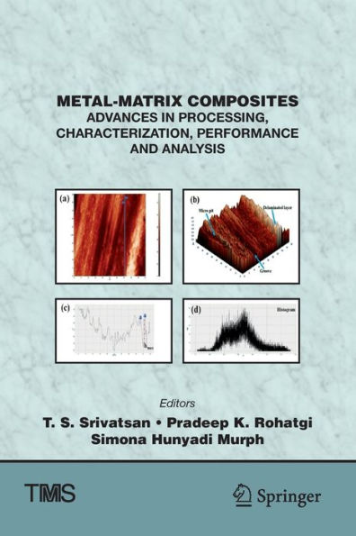 Metal-Matrix Composites: Advances In Processing, Characterization, Performance And Analysis (The Minerals, Metals & Materials Series) - 9783030925697