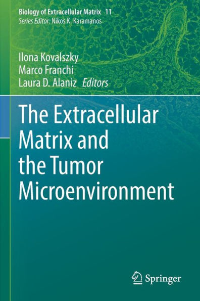The Extracellular Matrix And The Tumor Microenvironment (Biology Of Extracellular Matrix, 11) - 9783030997106