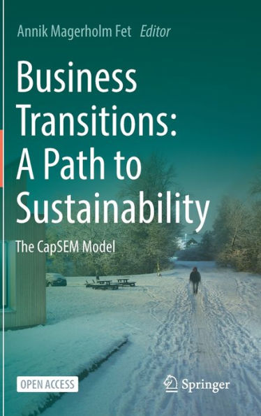 Business Transitions: A Path To Sustainability: The Capsem Model - 9783031222443
