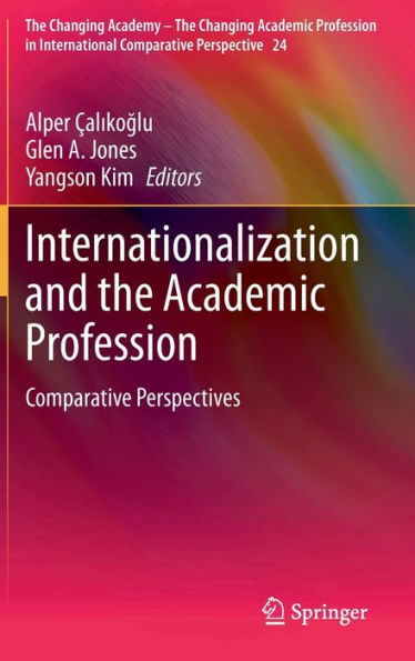 Internationalization And The Academic Profession: Comparative Perspectives (The Changing Academy - The Changing Academic Profession In International Comparative Perspective, 24)