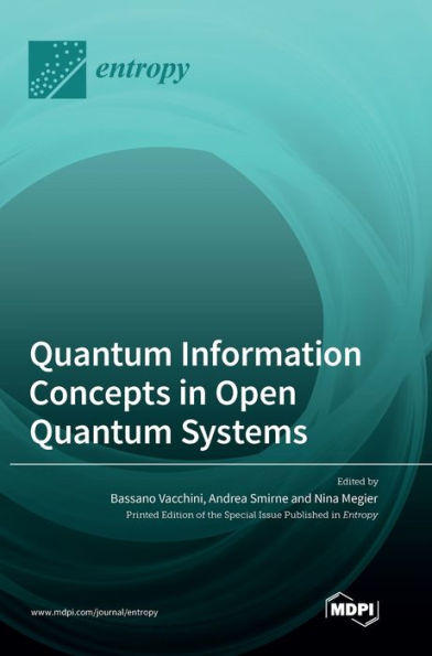 Quantum Information Concepts In Open Quantum Systems