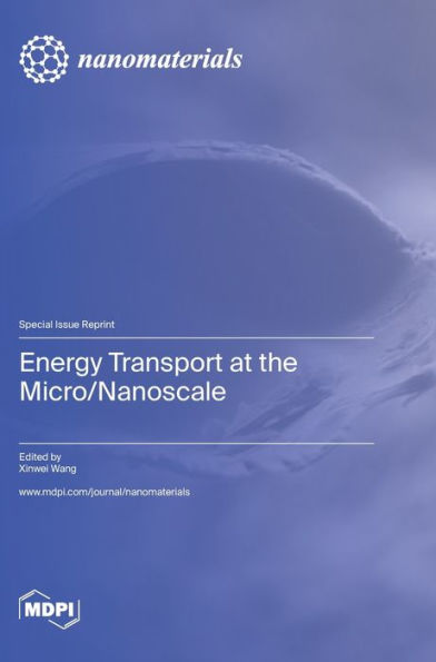 Energy Transport At The Micro/Nanoscale