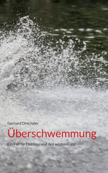 Überschwemmung: Ein Fall Für Château Und Den Wilden Franz (German Edition)