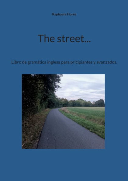 The Street...: Libro De Gramática Inglesa Para Pricipiantes Y Avanzados. (Spanish Edition)