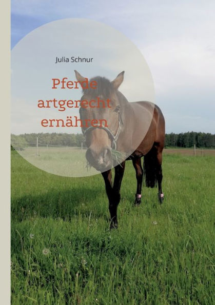 Pferde Artgerecht Ernähren (German Edition)